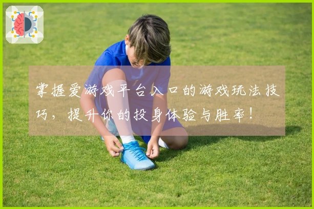掌握爱游戏平台入口的游戏玩法技巧，提升你的投身体验与胜率!