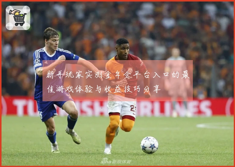 新手玩家实测金年会平台入口的最佳游戏体验与收益技巧分享
