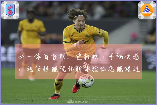 必一体育官网：重拾初上手畅快感，这份性能优化新体验你怎能错过？