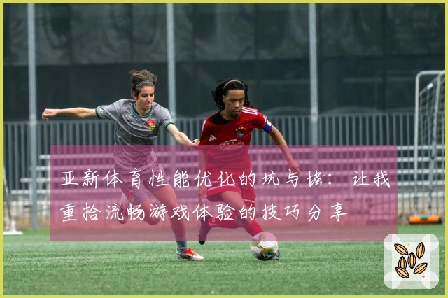 亚新体育性能优化的坑与堵：让我重拾流畅游戏体验的技巧分享
