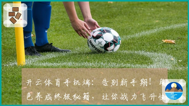 开云体育手机端：告别新手期！角色养成终极秘籍，让你战力飞升快人一步