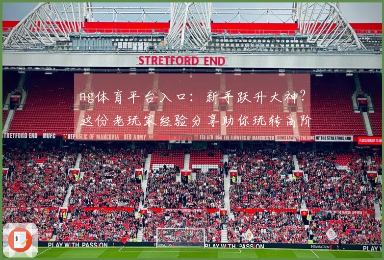 ng体育平台入口：新手跃升大神？这份老玩家经验分享助你玩转高阶技巧！