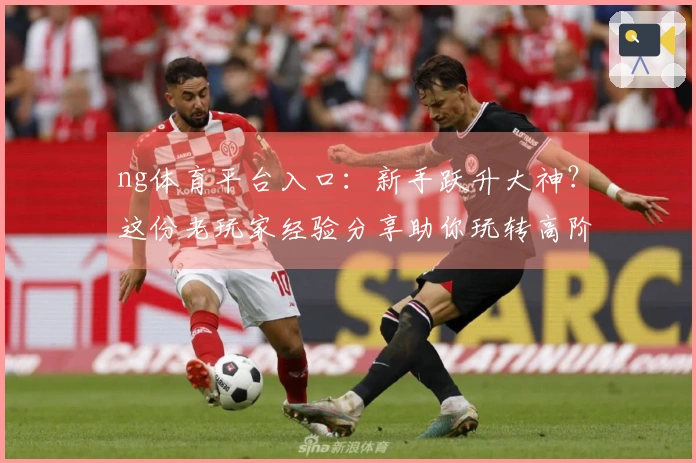 ng体育平台入口：新手跃升大神？这份老玩家经验分享助你玩转高阶技巧！